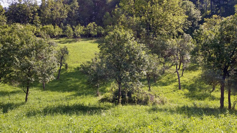 Posada- Sinaia 4 km, intravilan, 4.350 mp, deschidere- intrare din DN1, 11m