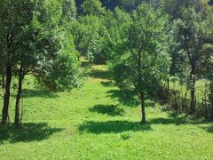 Posada- Sinaia 4 km, intravilan, 4.350 mp, deschidere- intrare din DN1, 11m