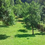 Posada- Sinaia 4 km, intravilan, 4.350 mp, deschidere- intrare din DN1, 11m